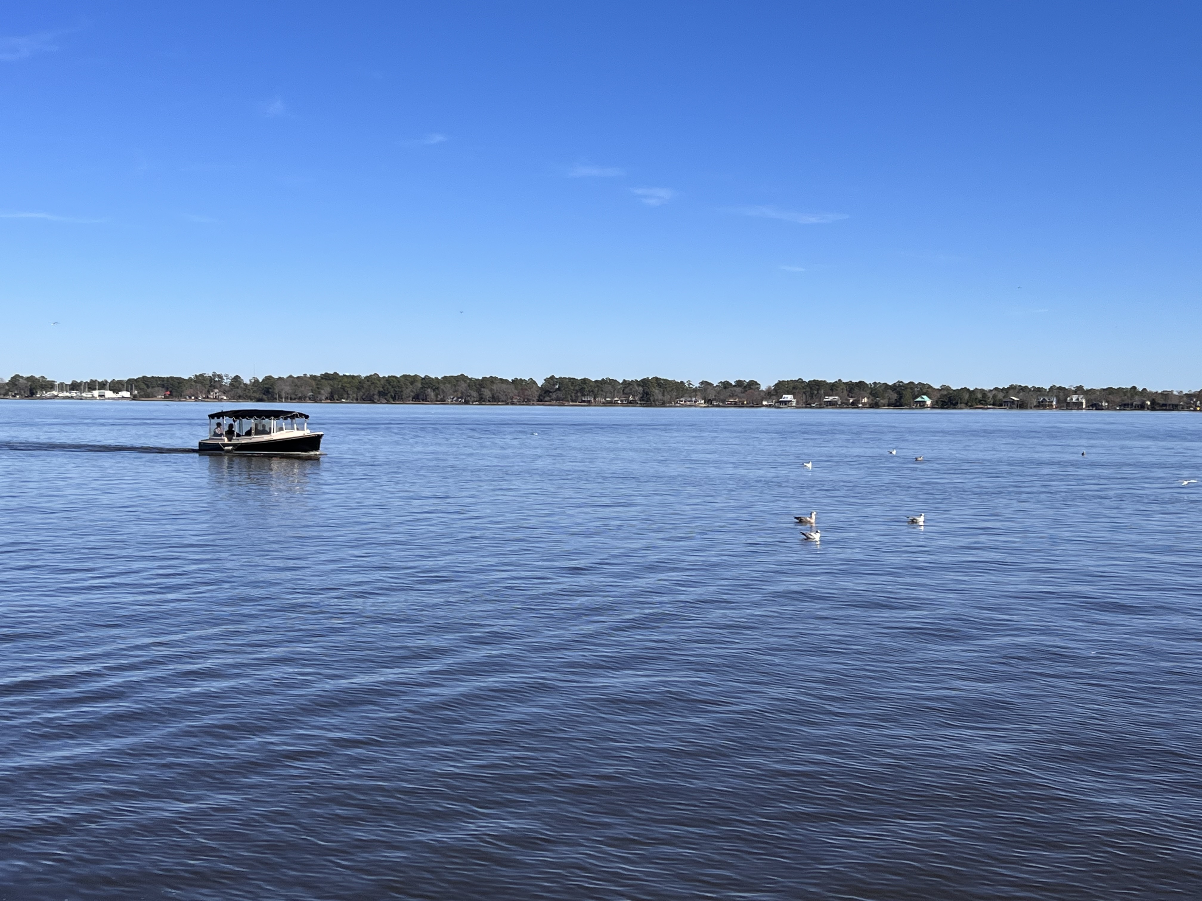 ./2023/01 - New Bern/IMG_6251.JPG